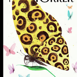 Metamorphosis by Ana Juan