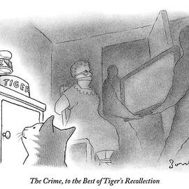 A Cat Is Looking At His Bowl While His Owner by David Borchart