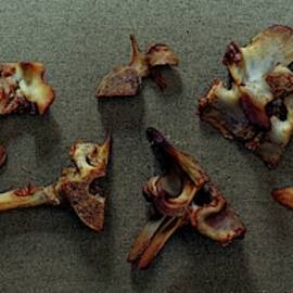 A Cluster Of Sheep Bones by Romulo Yanes