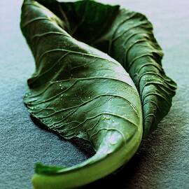 A Collard Leaf by Romulo Yanes