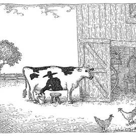 A Cow Has A Spot That Looks Like A Farmer by John O'Brien