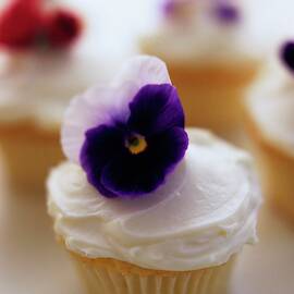 A Cupcake With A Violet On Top by Romulo Yanes