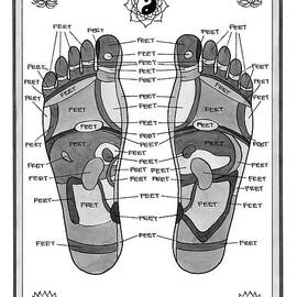 A Diagram Of Parts Of The Foot by Pat Byrnes