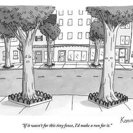 A Disgruntled Tree Looks At The Small Fence by Zachary Kanin
