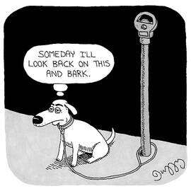 A Dog Tied To A Parking Meter Thinks by JC  Duffy