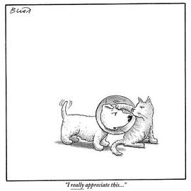 A Dog With A Neck Cone Is Having His Head by Harry Bliss