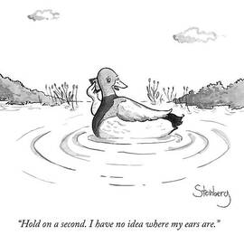 A Floating Duck On A Lake by Avi Steinberg