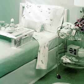 A Green Bedroom With A Breakfast Tray On The Bed by Haanel Cassidy