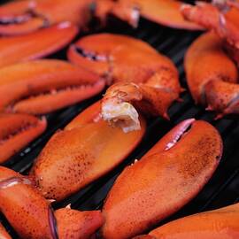 A Group Of Lobster Claws On A Grill by Romulo Yanes