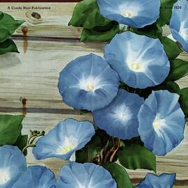 A House And Garden Cover Of Flowers by Carl Broemel