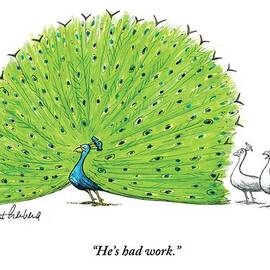 A Large Peacock With Its Feathers Out Is Admired by Mort Gerberg