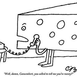 A Large Piece Of Swiss Cheese Talks by Charles Barsotti