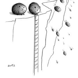 A Lemming Measures The Drop Off Of A Cliff by Julia Suits