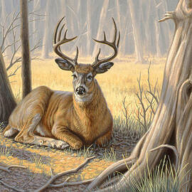 'A Little Shade' by Paul Krapf