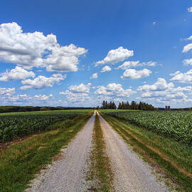 A Long Rural Road by Bill and Linda Tiepelman