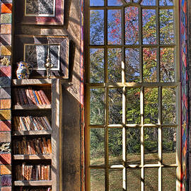 A Look From The Library by Susan Candelario