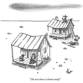 A Man On Top Of A Shack With A Ladder by Frank Cotham