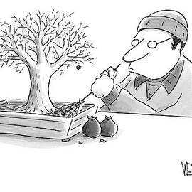 A Man Rakes Leaves In A Tiny Bonsai Tree by Christopher Weyant