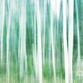 a matter of blues by Priska Wettstein
