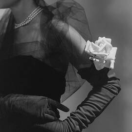A Model Wearing And Velvet Rose by Horst P. Horst