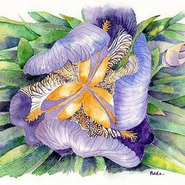 a new perspective by Catherine Bede