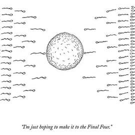 A Number Of Sperms Approach An Egg In The Shape by Michael Shaw
