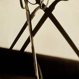 A Pair Of Scissors by Irving Browning