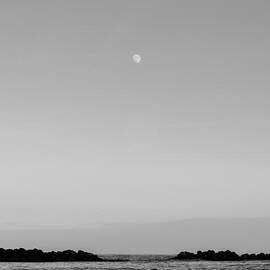 A place among the Stars by AM FineArtPrints