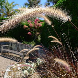 A Place to Think by Richard Reeve