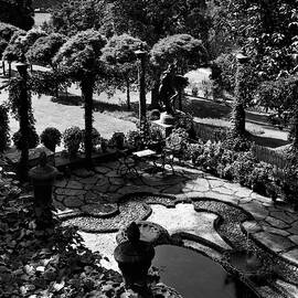 A Pond In An Ornamental Garden by Gottscho-Schleisner