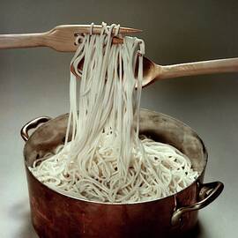 A Pot Of Spaghetti by John Stewart