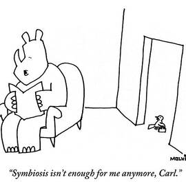 A Rhino Is Reading A Book While A Small Bird by Ariel Molvig