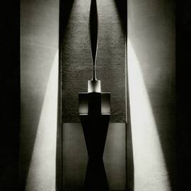 A Sculpture Called The Bird by Edward Steichen