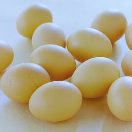 A Selection Of Eggs by Romulo Yanes