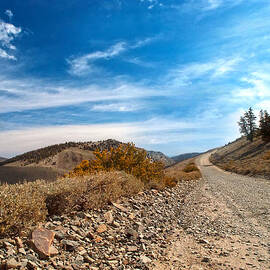 A Sense of the West by Joe Schofield