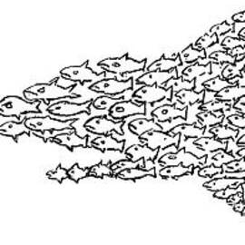 A Shark Is Chased By A School Of Fish That by David Sipress