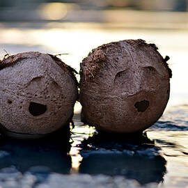 a song in my heart by Laura Fasulo