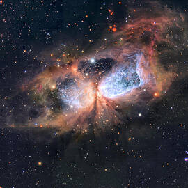 A Star is Born by Georgia Clare