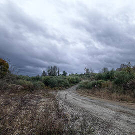 A Stormy Walk Home by Richard Reeve