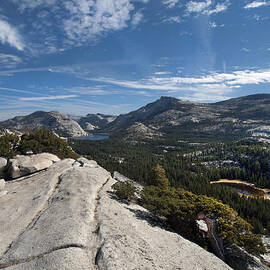 A Tenaya View by Joe Schofield