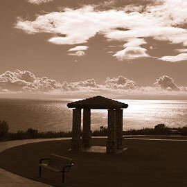 A view of the Pacific by Joe Schofield