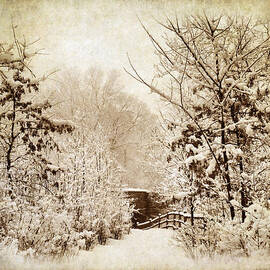 A Winter's Path by Jessica Jenney