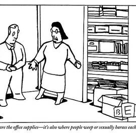 A Woman Opens The Door To A Supply Closet by Bruce Eric Kaplan