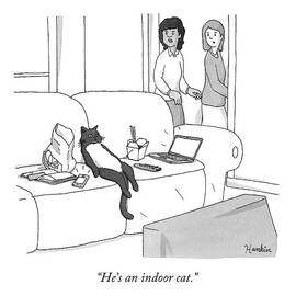 He's an Indoor Cat by Charlie Hankin