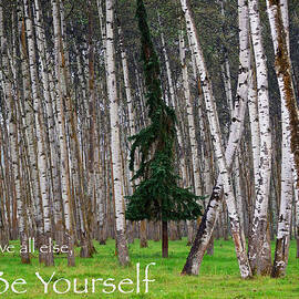 Above All Else Be Yourself by Mary Lee Dereske