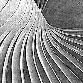 Abstract - Spiral Grain by Richard Reeve