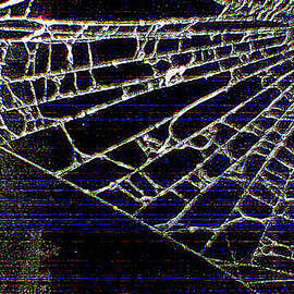 Abstract - Arachnid View by Richard Reeve