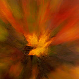 Abstract Autumn Leaf by Mary Jo Allen