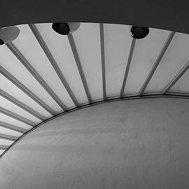 Abstract - Curves and Lines 1 by Richard Reeve