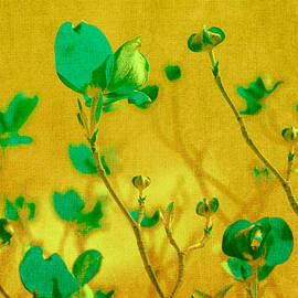 Abstract Dogwood by Bonnie Bruno